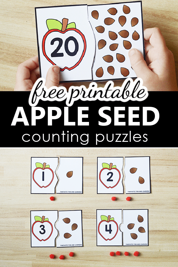 Free Printable 1-20 Apple Seed Counting Puzzles Math Center for Preschool PreK and Kindergarten