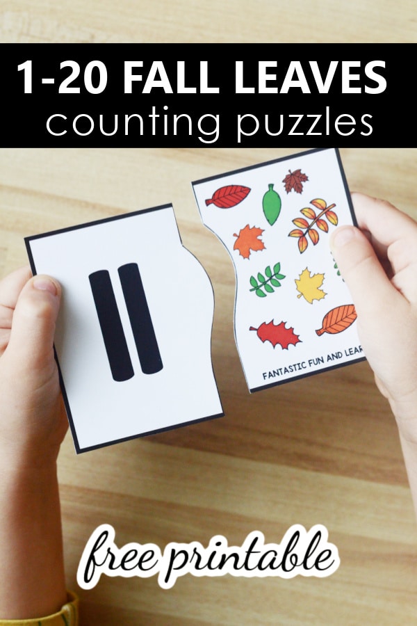 Free Printable Quick Prep Fall Leaves 1-20 Counting Puzzles for Preschool Pre-K and Kindergarten