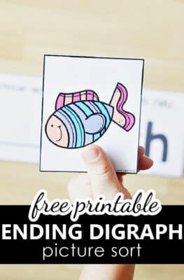 Free Printable Ending Digraph Sort Phonological Awareness Literacy Center for PreK and K