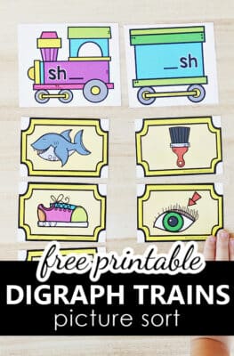 Free Printable Beginning and Ending Digraph Trains Sort Phonological Awareness Literacy Center for PreK and K