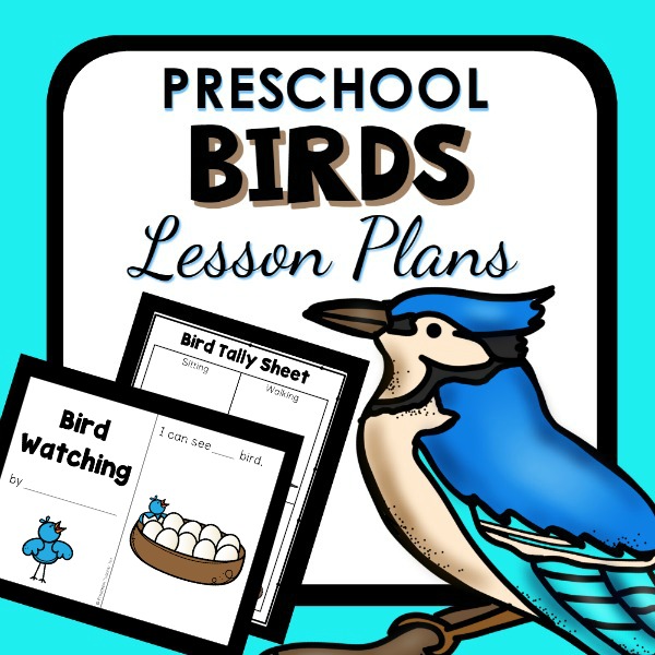 Bird Theme Preschool Classroom Lesson Plans